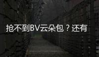 抢不到BV云朵包？还有这么多“性冷感手袋”可选！